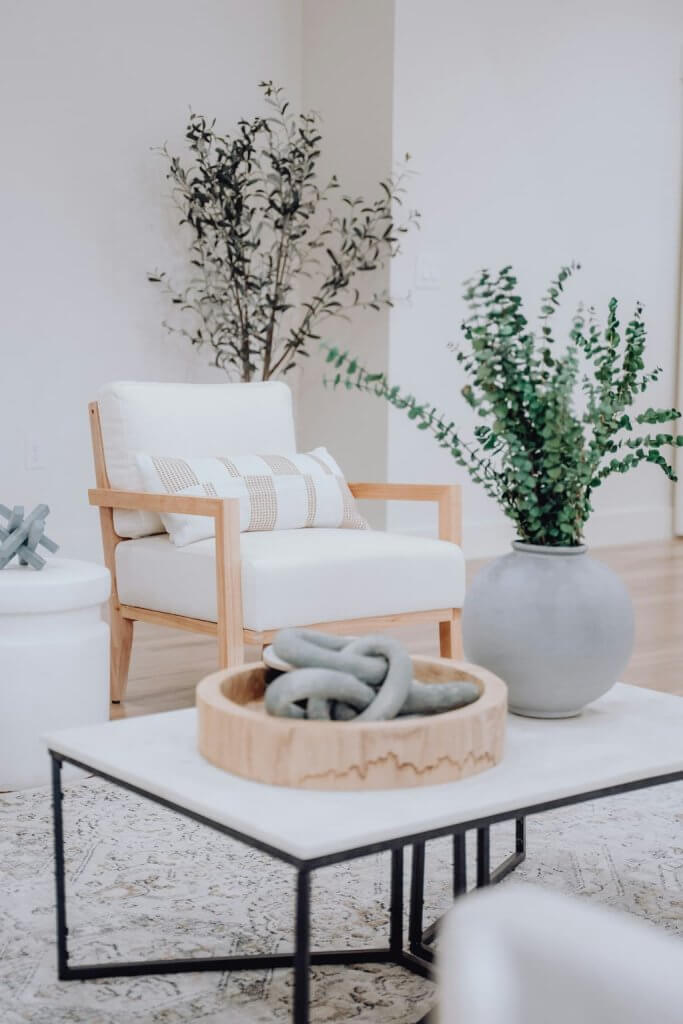 photo intérieur salon avec fauteuil et table basse